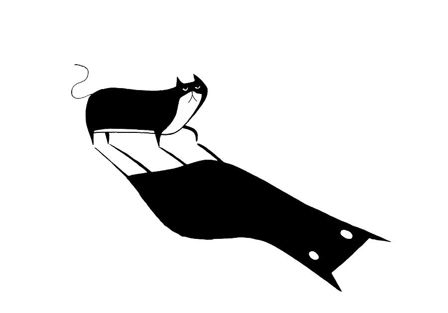 Cat Drawing - Shadow  by Andrew Hitchen