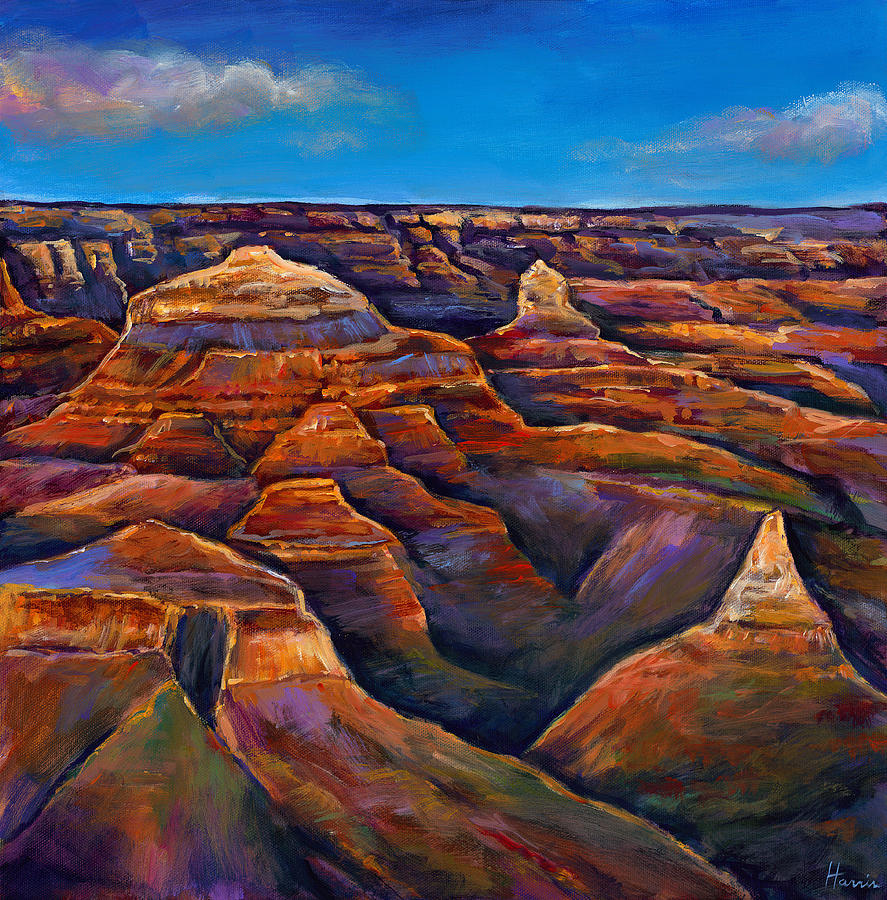 Grand Canyon National Park Painting - Shadow Canyon by Johnathan Harris