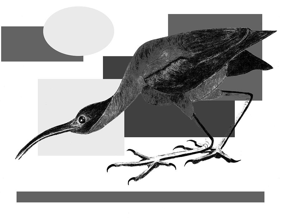Bird Painting - Shadow Dancing by Tess M J Iroldi Bird Painting - Shadow Dancing by Tess M J Iroldi