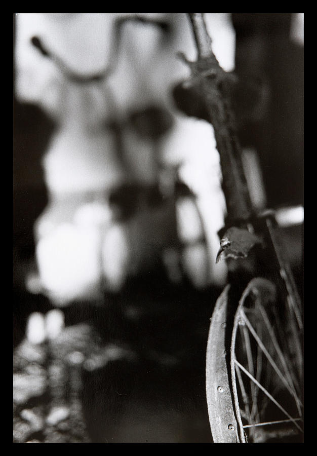Shadow of a perfect bike Photograph by Dirk Ercken