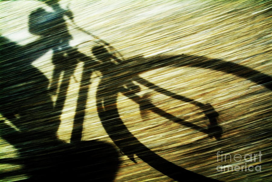 Shadow of a person riding a bicycle Photograph by Sami Sarkis