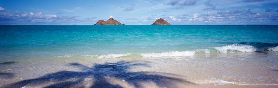 Nature Photograph - Shadow Of A Tree On The Beach, Lanikai by Panoramic Images