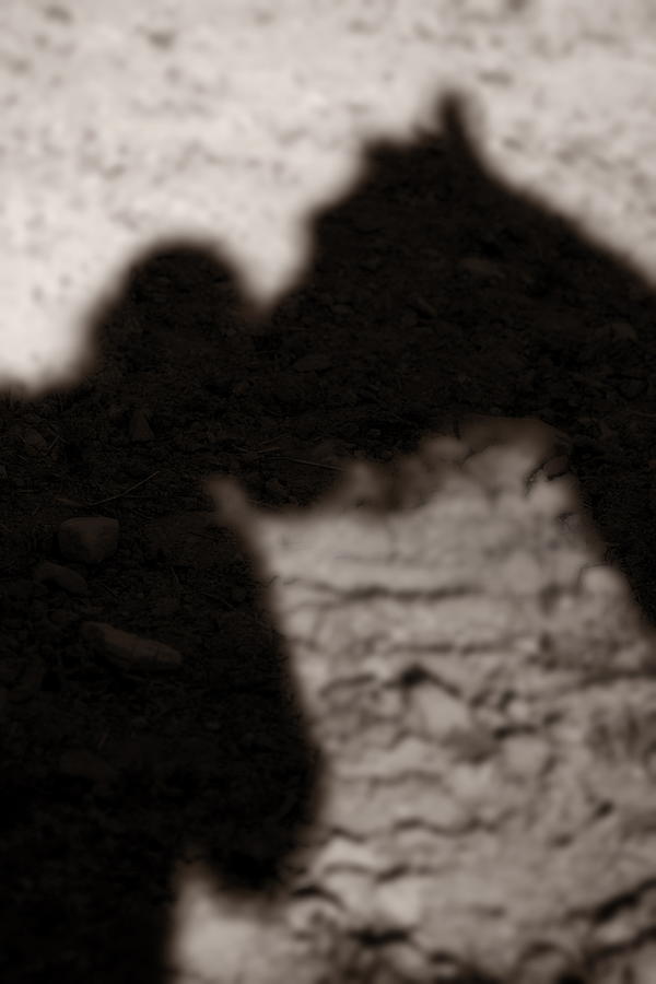 Shadow of Horse and Girl - Vertical Photograph by Angela Rath