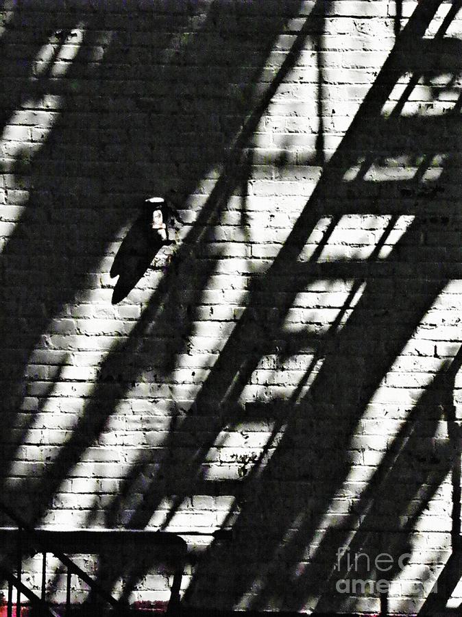 City Photograph - Shadow on the Wall 2 by Sarah Loft