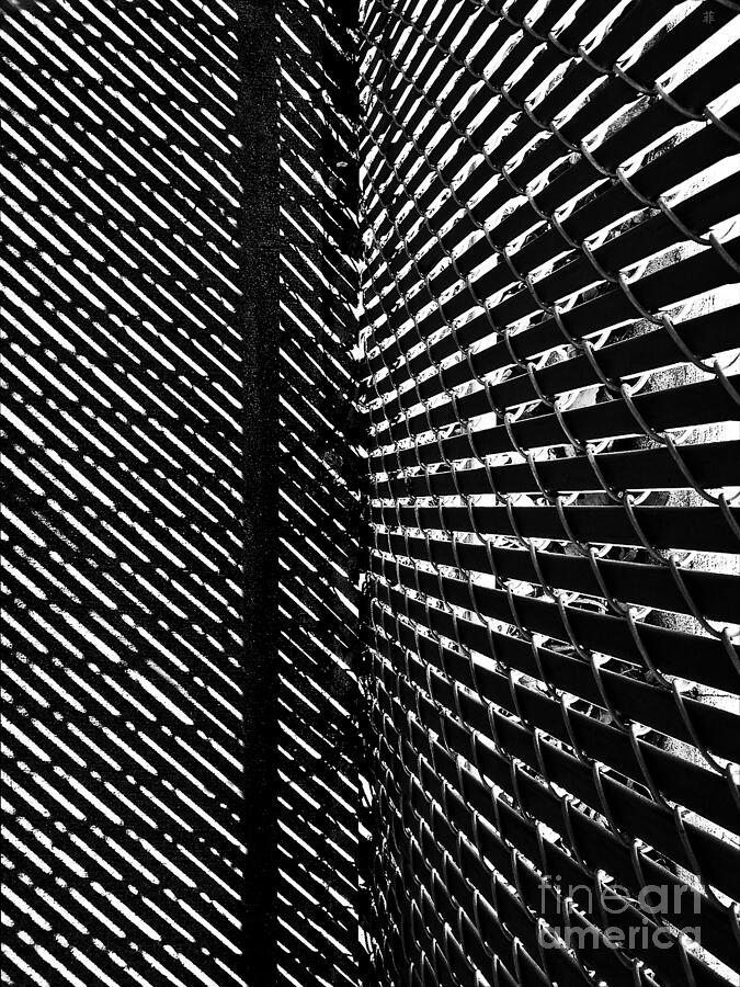 Shadow Pattern No. 208 Photograph