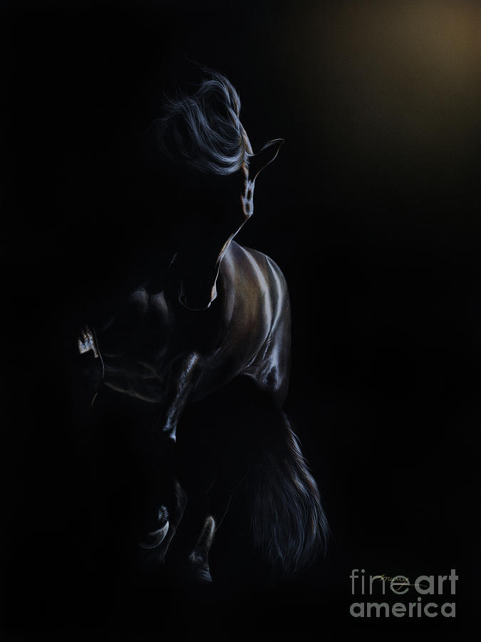 Horse Painting - Shadow Play by Dee Dee Murry