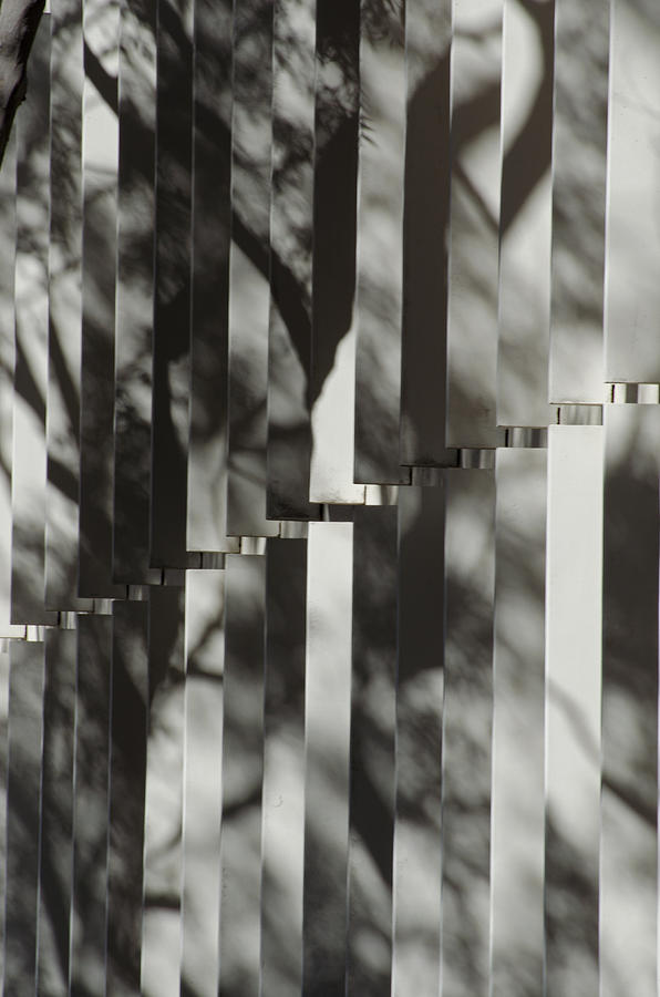 Shadow Play Photograph by Jean Booth