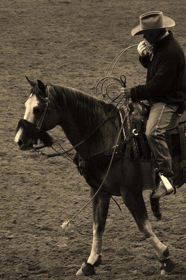 Horse Photograph - Shadow Rider by Paulina Roybal