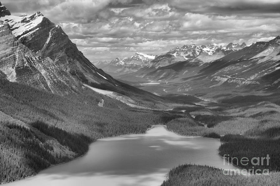 Shadow Shades Of Peyto Black And White Photograph by Adam Jewell