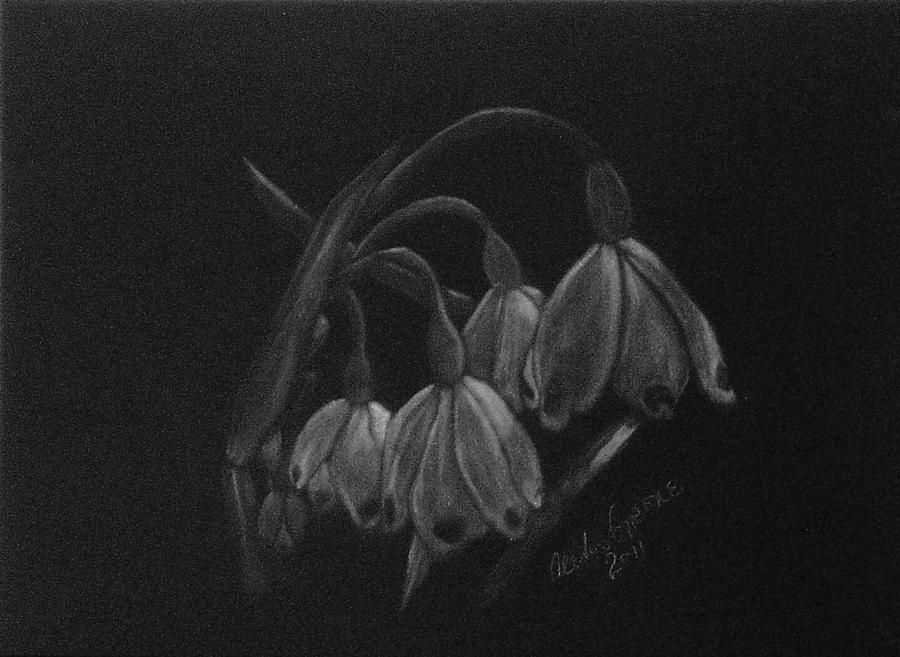Shadow Snowdrops Painting by Alexis Grone - Fine Art America