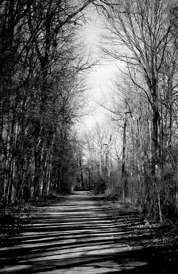Black And White Photograph - Shadow Walk by Shawna Rowe