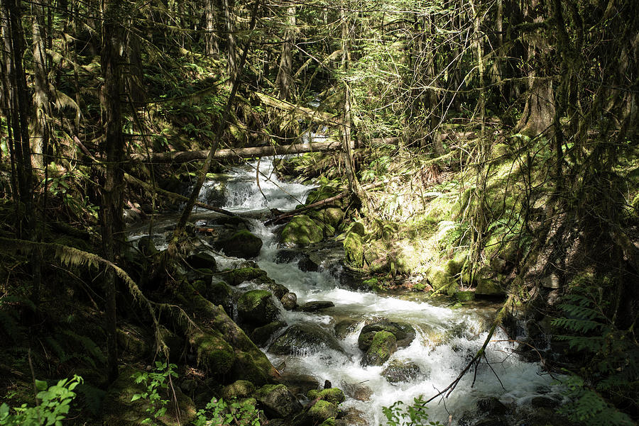 Shadowed Creek Photograph by Tom Cochran