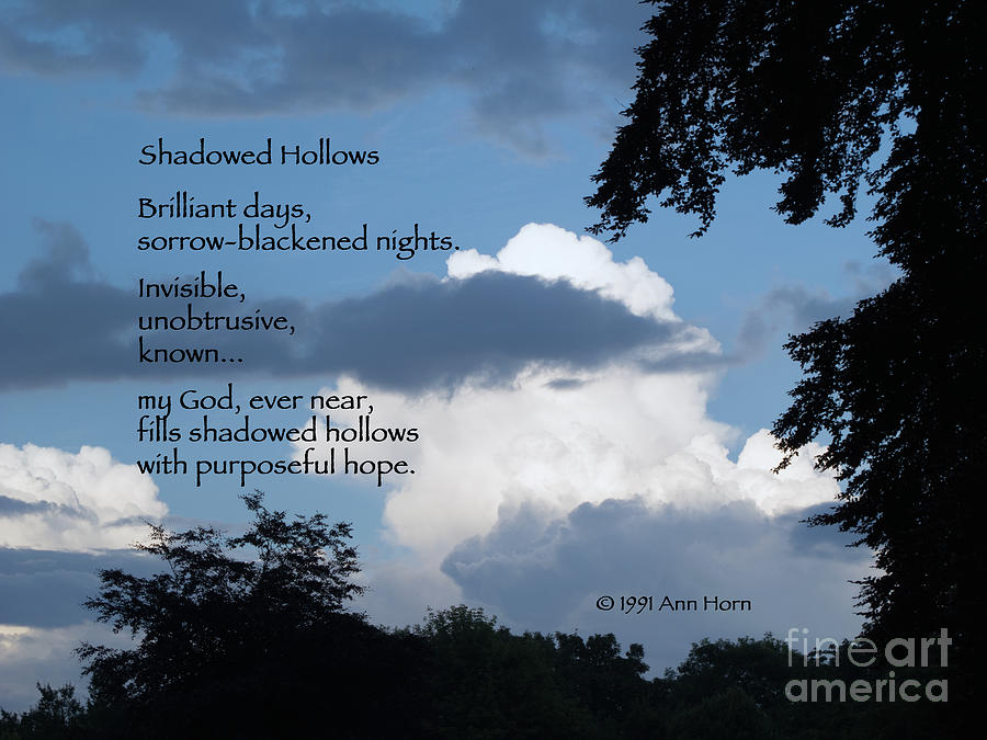 Shadowed Hollows Photograph by Ann Horn