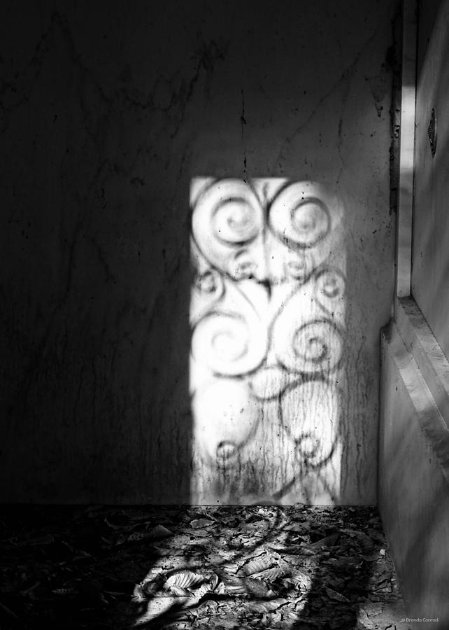 Shadowlight Photograph by Dark Whimsy