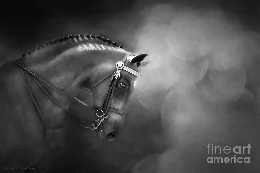 Horse Photograph - Shadows and Light by Michelle Wrighton