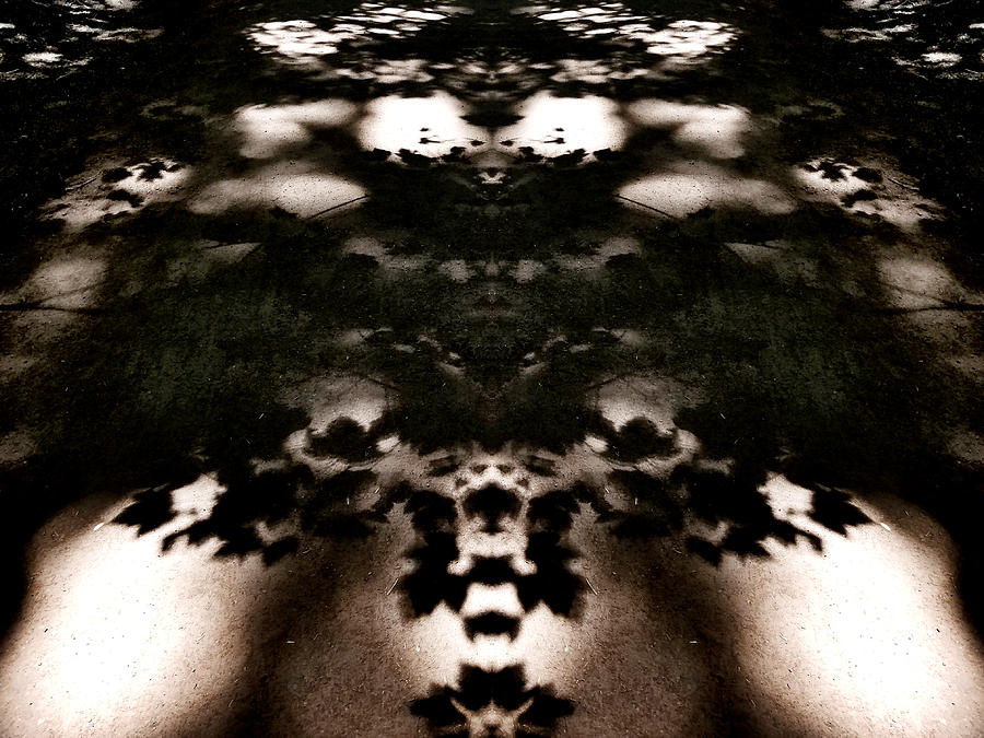 Pattern Digital Art - Shadows and Mirrors by Susan Kinney