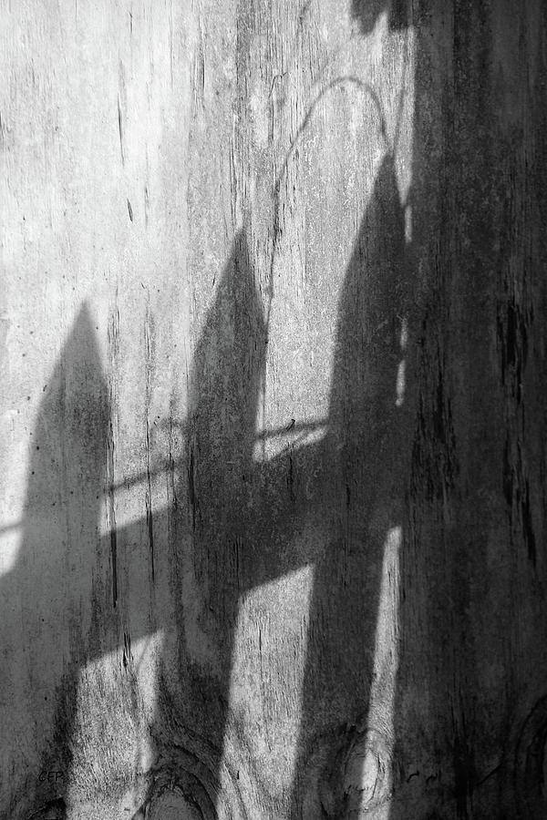 Shadows Photograph by Becca Wilcox