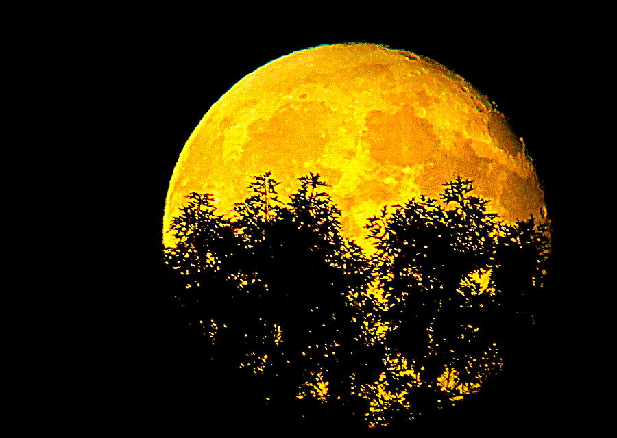 Shadows in the Moon Photograph by Suzanne DeGeorge