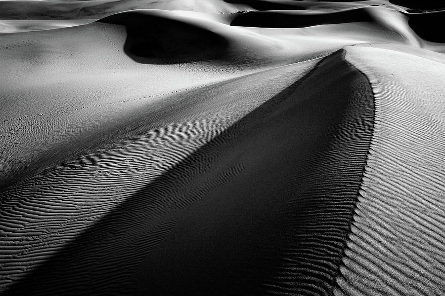 Shadows in the Sand Photograph by Marzena Grabczynska Lorenc