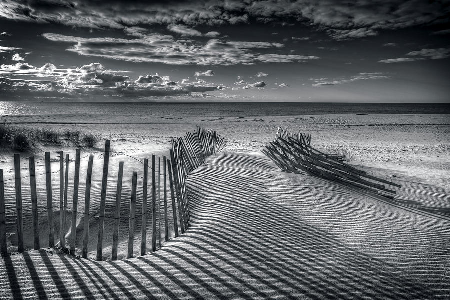 Black And White Photograph - Shadows by Mike Deutsch