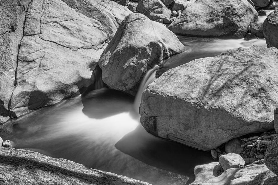 Shadows Of A Creek In Black And White Photograph