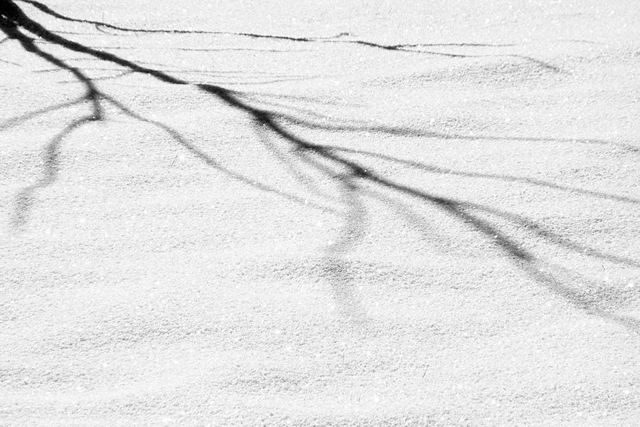 Shadows of Winter Photograph by Alexandra Till