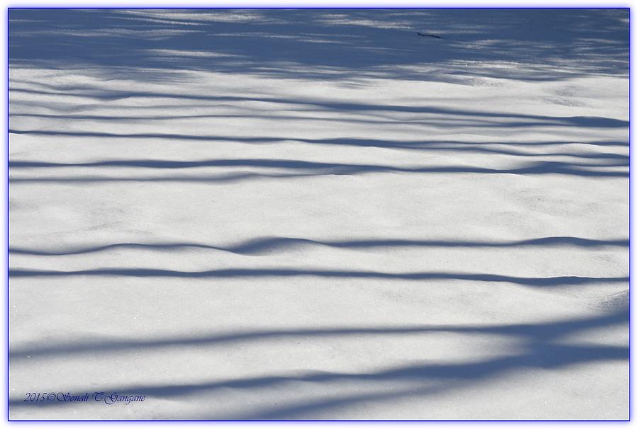 Shadows on Snow Photograph by Sonali Gangane