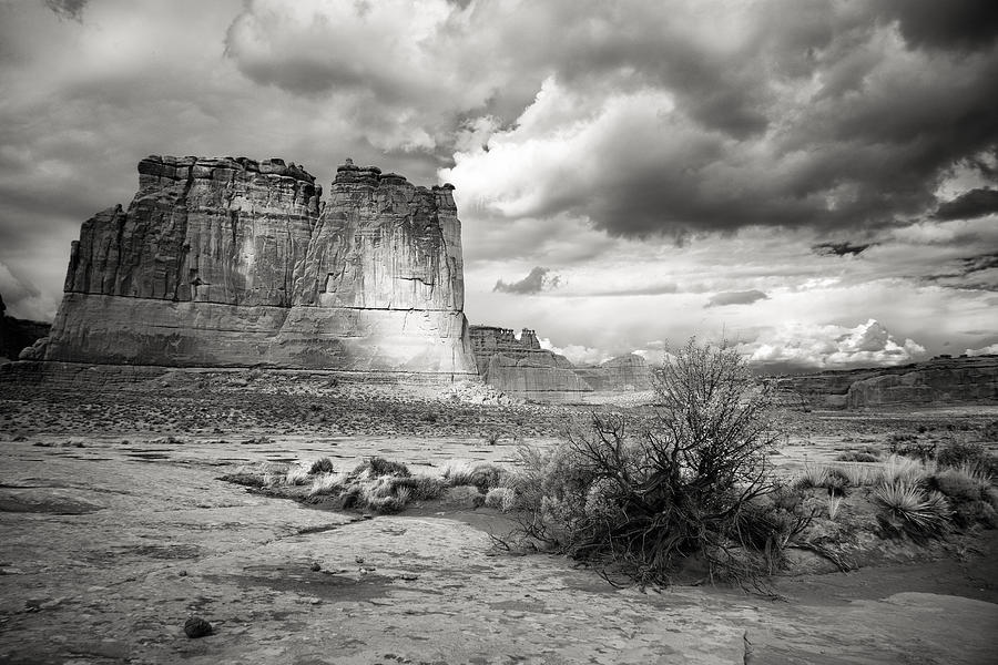 Black And White Photograph - Shadows on the Plain by Jon Glaser