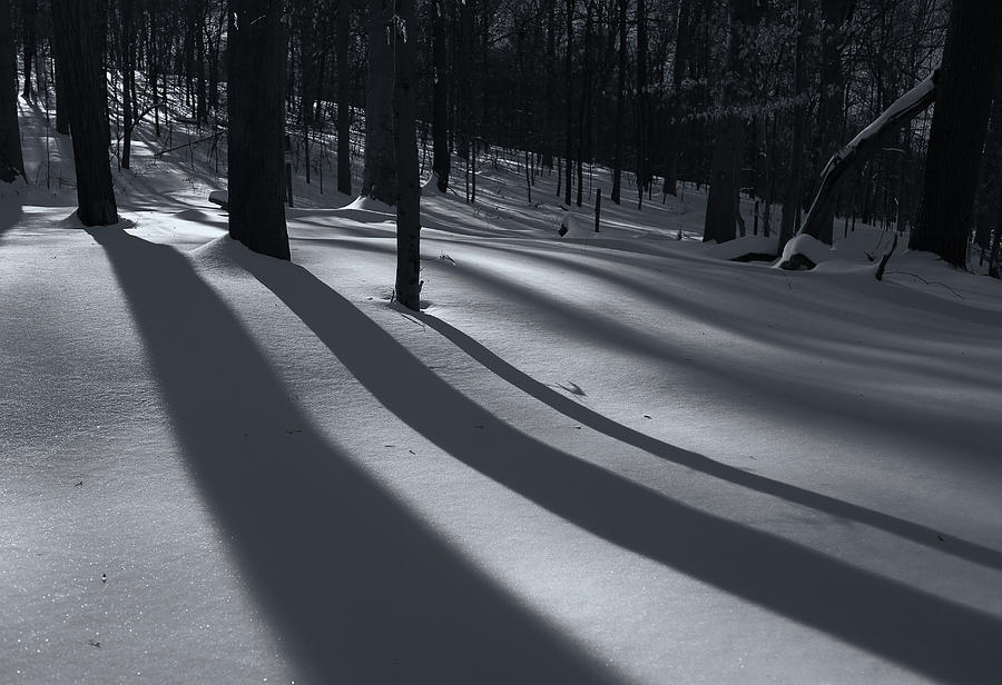 Shadows on the Snow Photograph by Bethany Dhunjisha