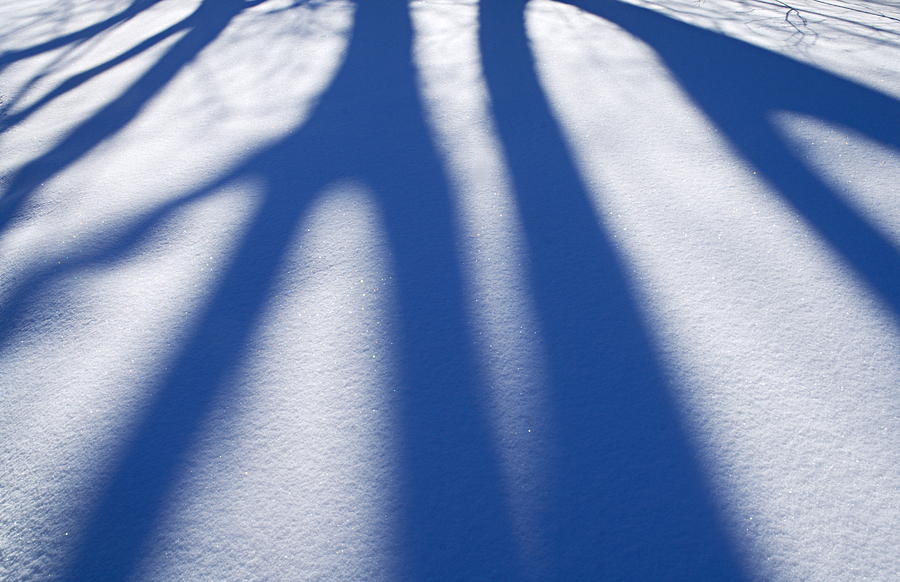 Shadows on the Snow Photograph by Larry Ricker