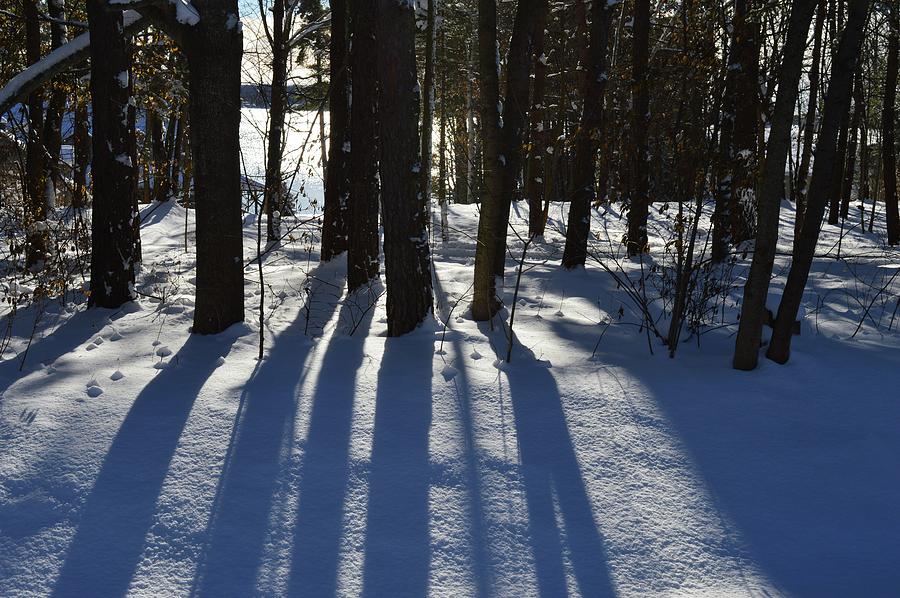 Shadows On The Snow  Photograph by Lyle Crump