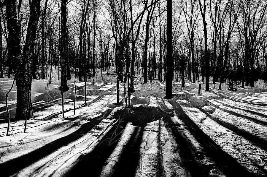 Shadows on the Snowy Landscape Photograph by David Patterson