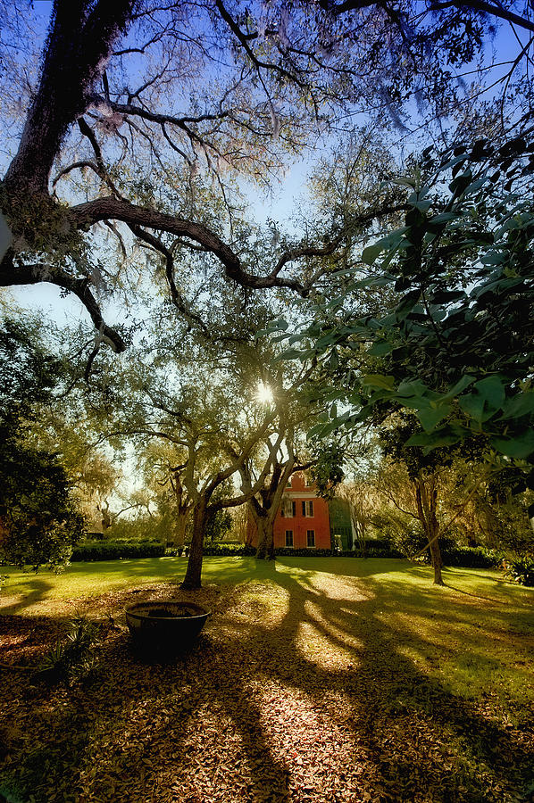 Shadows on the Teche Photograph by Bonnie Barry