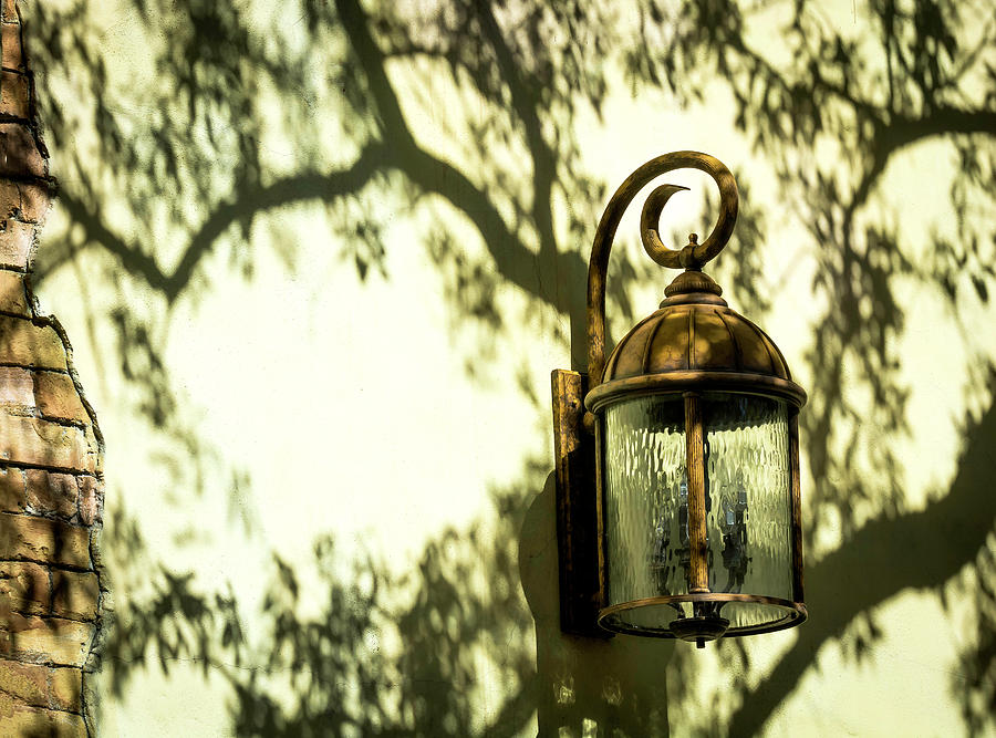 Shadows on the Wall by GK Hebert Photography Shadows on the Wall by GK Hebert Photography
