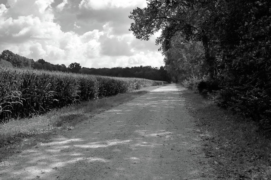Black And White Photograph - Shady Farm Lane by Scott Kingery