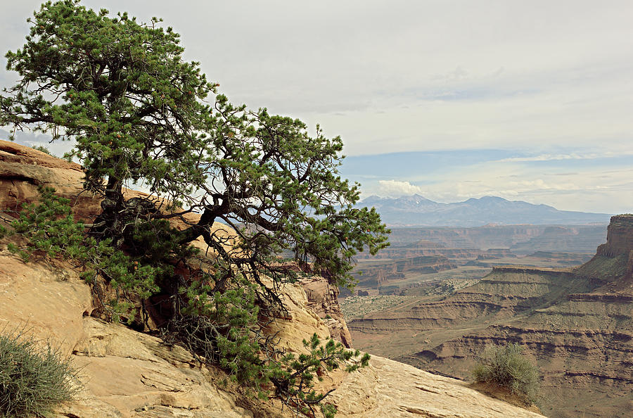 Mountain Photograph - Shafer Canyon Overlook by Peter J Sucy