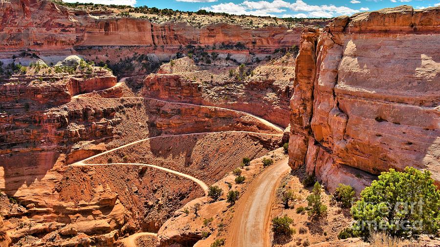 Canyonlands National Park Photograph - Shafer Trail Road by Dennis Nelson