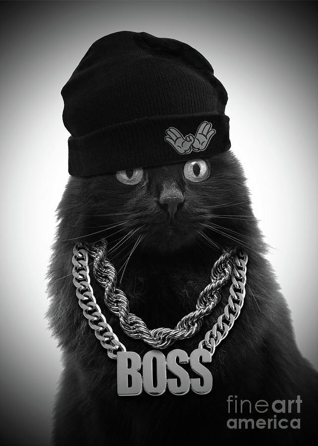 Baron von meowsberg. Кот с цепью Wutang.