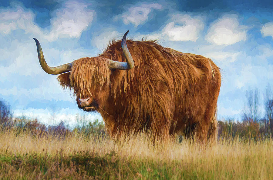 Shaggy Highland Cow Digital Art by Roy Pedersen