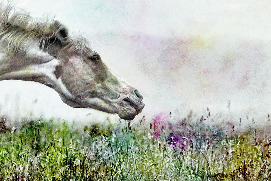 Shake It Off special textured by Belinda Greb Shake It Off special textured by Belinda Greb