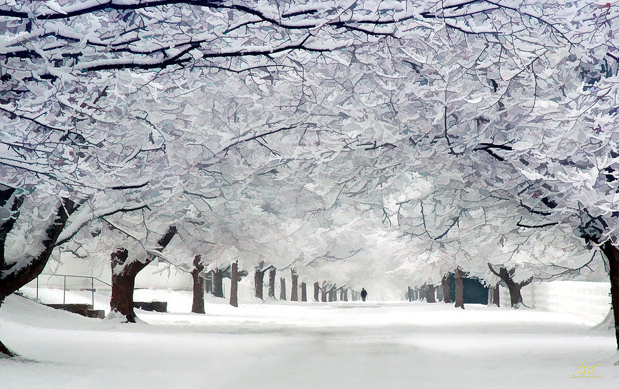 Shaker Winter Walkway Photograph by Sam Davis Johnson