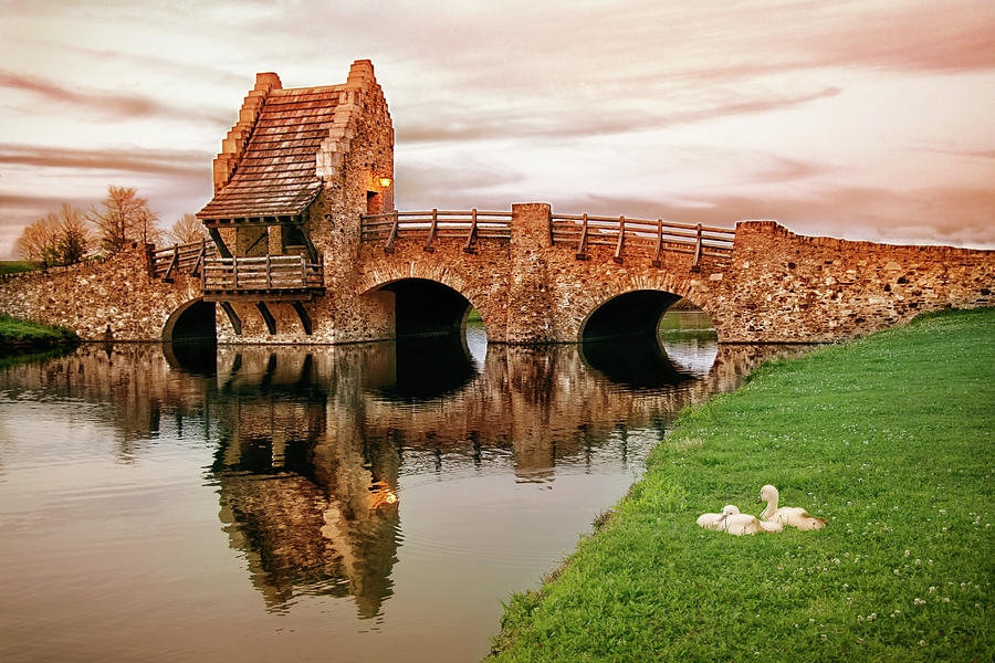 Duck Photograph - Shakespeare Bridge by Iryna Goodall