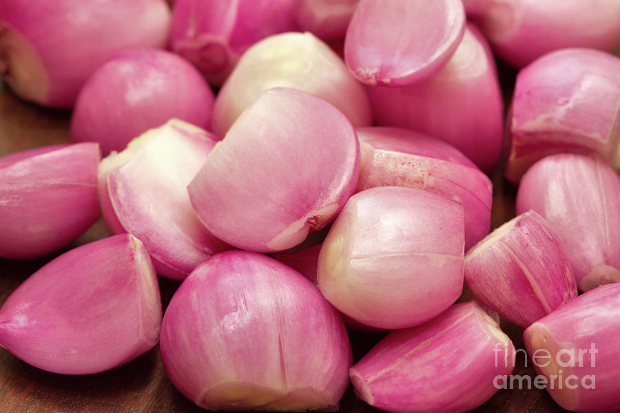 Shallots Photograph by Louise Heusinkveld