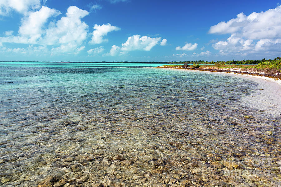 Shallow Water in Caribbean Sea Photograph by Jess Kraft | Fine Art America