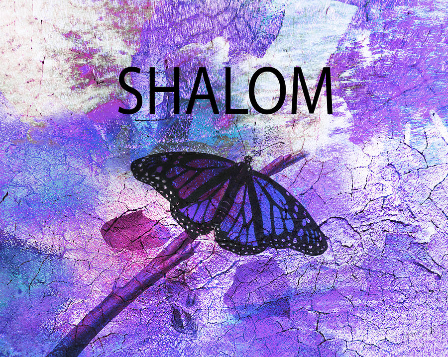 Butterfly Photograph - Shalom by Beverly Guilliams