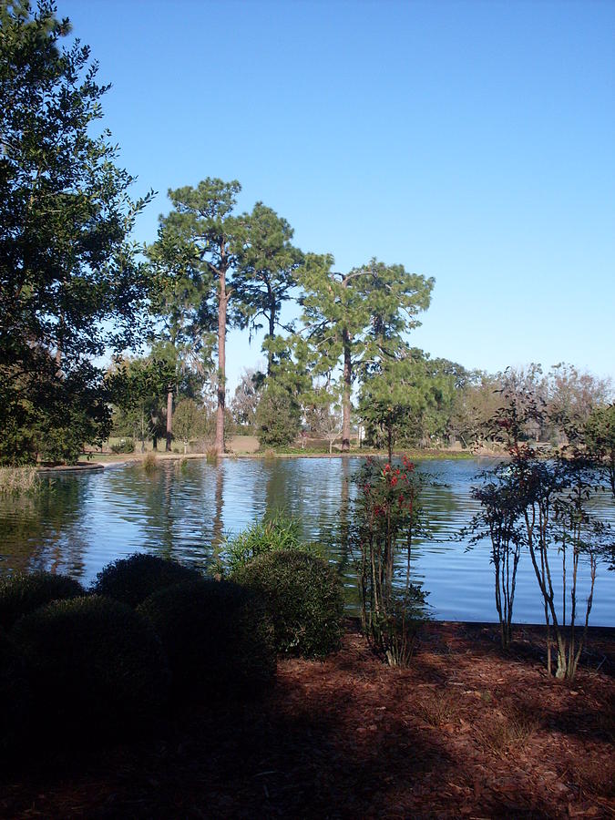 Shalom Park Ocala Florida Photograph by Warren Thompson