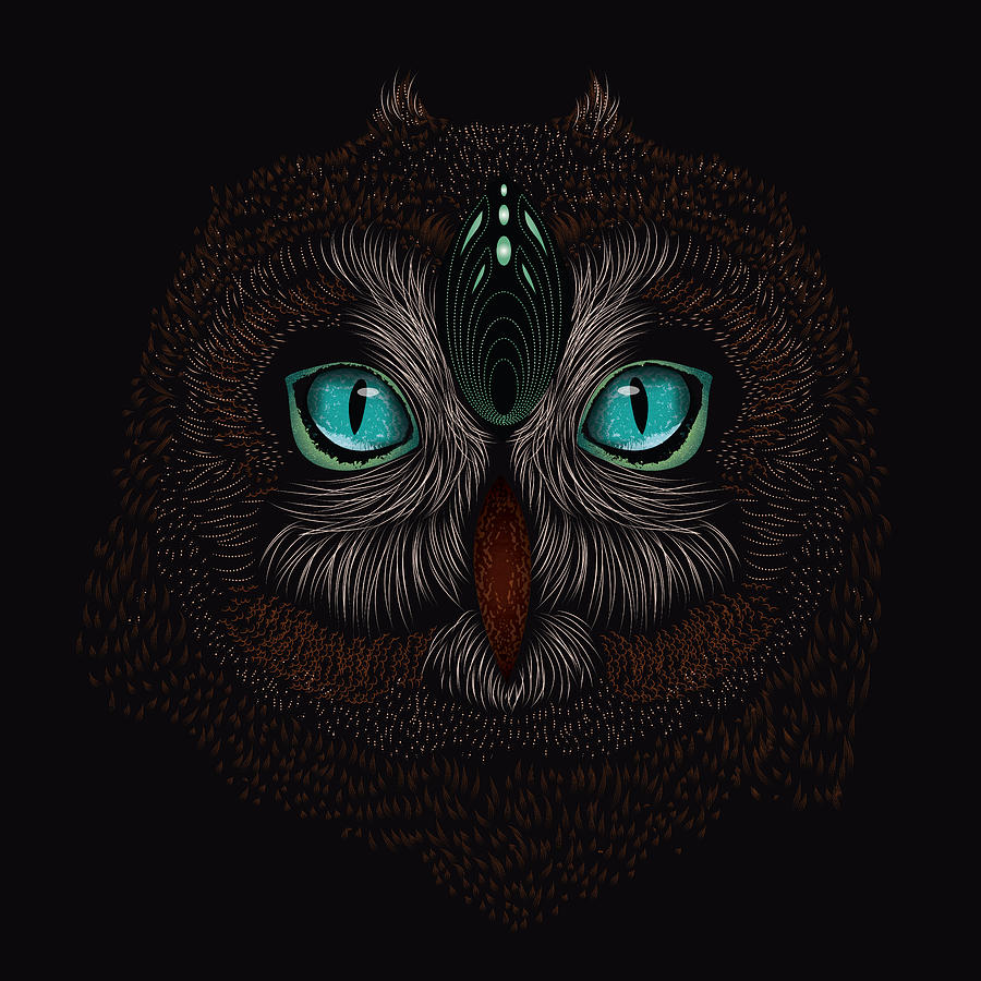 Shaman Spirit Owl Digital Art by Serena King