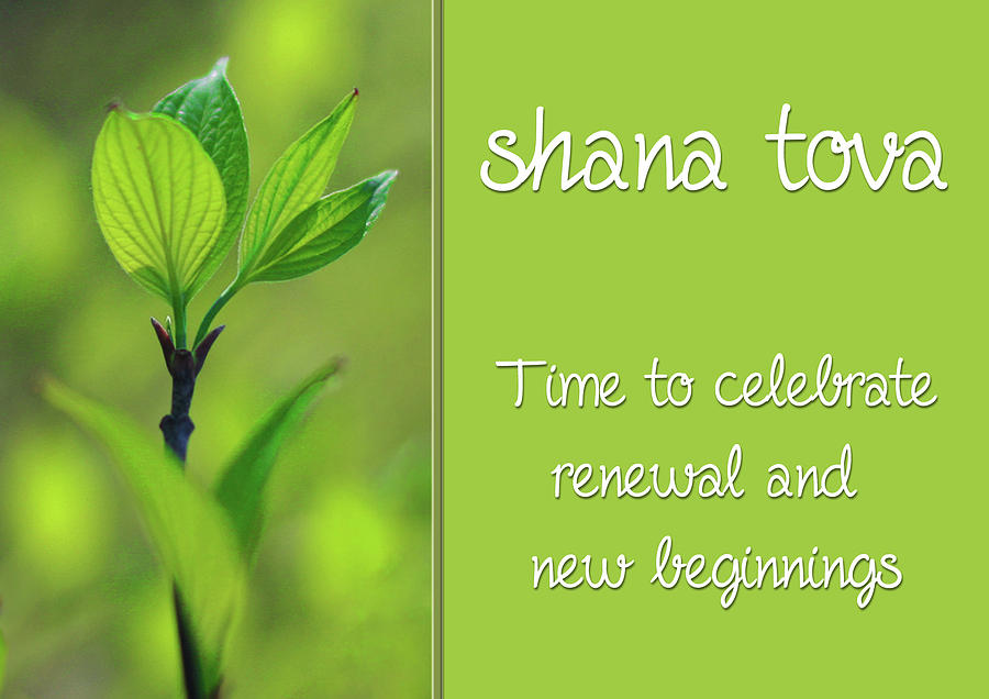 Shana Tova new beginnings card Photograph by Denise Beverly