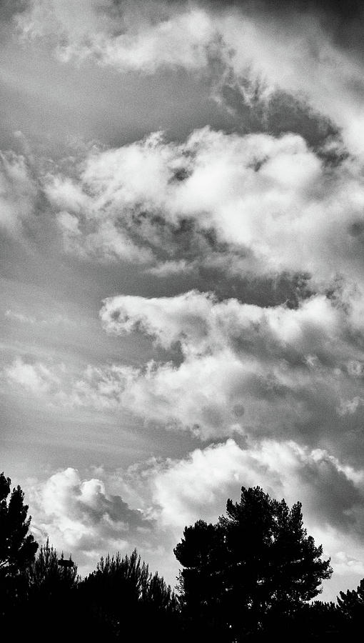 Lake Balboa Park Photograph - Shapes In The Clouds by Matthew Nelson Lake Balboa Park Photograph - Shapes In The Clouds by Matthew Nelson