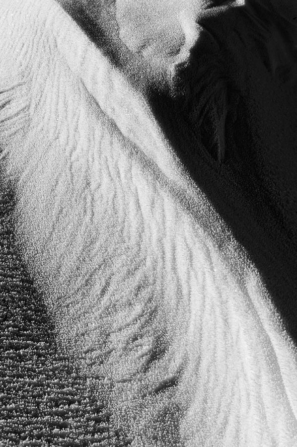 Shapes of Wind Photograph by Randi Grace Nilsberg